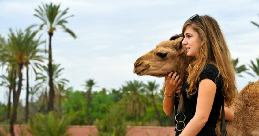 Top Marrakech Excursions , Best Tours departure Marrakech, Scooter trips, Activities with local Guide