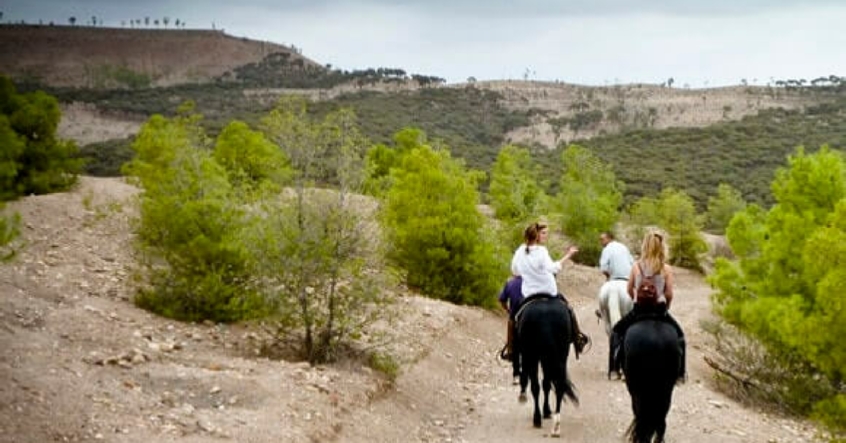 Marrakech Horse Ride Day trip