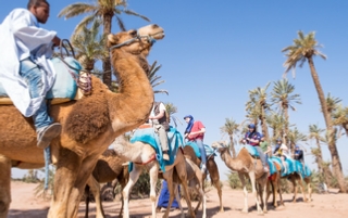 Biking tours Marrakech