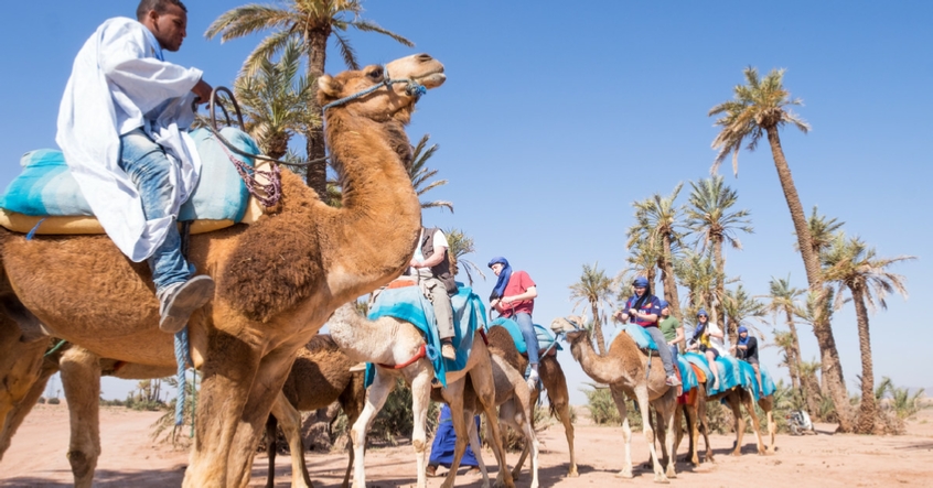 Biking tours Marrakech