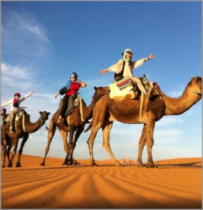 Tours from Casablanca