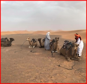 7,8,9,10,14 day tour from Casablanca to Chefcahouen and Sahara desert