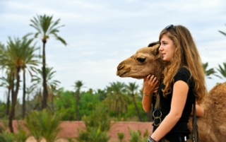 Top Marrakech Excursions , Best Tours departure Marrakech, Scooter trips, Activities with local Guide